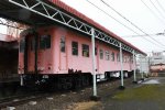 Dcim19400/DSC_0503
