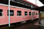 Dcim19401/DSC_0561