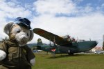 Dcim19402/DSC_0668