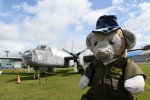 Dcim19402/DSC_0786