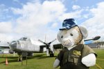 Dcim19402/DSC_0787