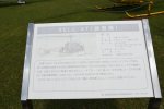 Dcim19403/DSC_0803