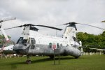 Dcim19403/DSC_0809