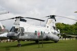 Dcim19403/DSC_0810