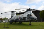 Dcim19403/DSC_0832