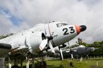 Dcim19403/DSC_0861