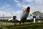 Dcim19403/DSC_0866
