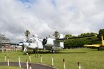 Dcim19403/DSC_0881