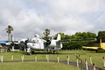 Dcim19403/DSC_0887