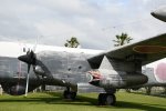 Dcim19403/DSC_0931