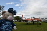 Dcim19404/DSC_0944