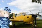 Dcim19404/DSC_0954