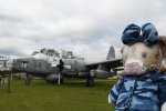 Dcim19404/DSC_0963