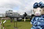 Dcim19404/DSC_0970