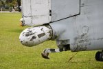 Dcim19404/DSC_0972