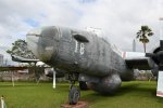 Dcim19404/DSC_0979