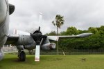 Dcim19404/DSC_0985