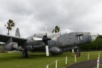 Dcim19404/DSC_0988