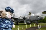 Dcim19404/DSC_0992