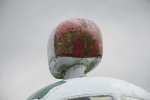 Dcim19404/DSC_0997