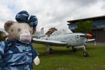 Dcim19404/DSC_1013