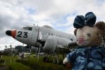 Dcim19404/DSC_1040