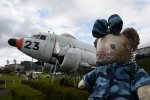 Dcim19404/DSC_1041