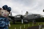 Dcim19404/DSC_1047