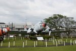 Dcim19404/DSC_1069