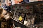 Dcim19406/DSC_1262