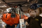 Dcim19406/DSC_1264