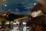 Dcim19406/DSC_1316