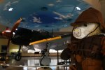 Dcim19406/DSC_1317