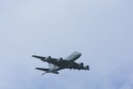Dcim19407/DSC_5903