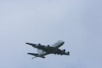 Dcim19407/DSC_5904