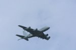 Dcim19407/DSC_5905