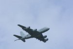 Dcim19407/DSC_5906