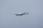 Dcim19407/DSC_5919