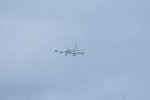 Dcim19407/DSC_5931