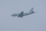 Dcim19408/DSC_6038