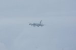 Dcim19408/DSC_6088