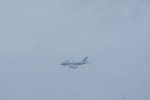 Dcim19408/DSC_6131