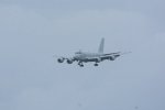 Dcim19408/DSC_6137