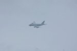 Dcim19408/DSC_6162