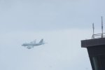 Dcim19408/DSC_6203