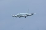 Dcim19408/DSC_6208