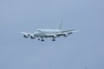 Dcim19408/DSC_6209