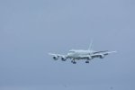 Dcim19409/DSC_6260