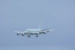 Dcim19409/DSC_6261