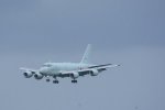 Dcim19409/DSC_6316